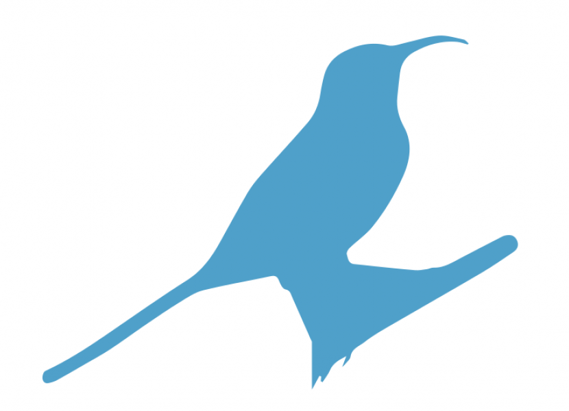 Filmlab: Palestine (FLP) announces developments and updates for the upcoming fifth edition of Palestine Cinema Days